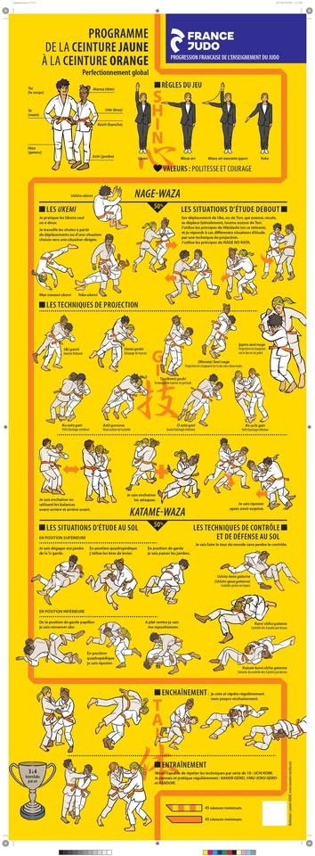 Ceinture orange - progression officielle